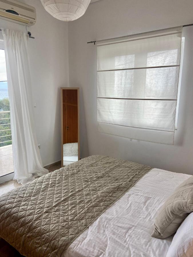 Delfini Appartement *