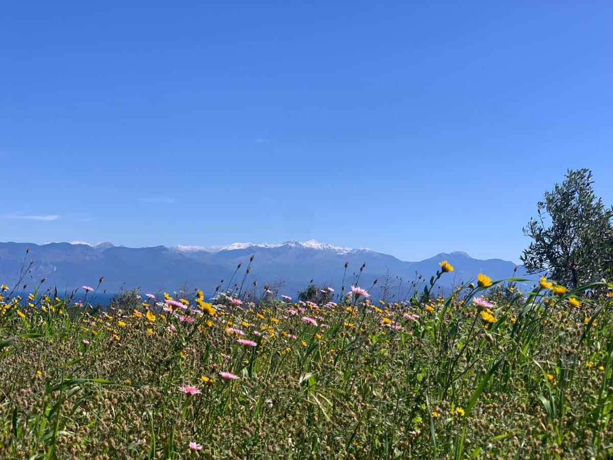 Delfini Appartement Chrani