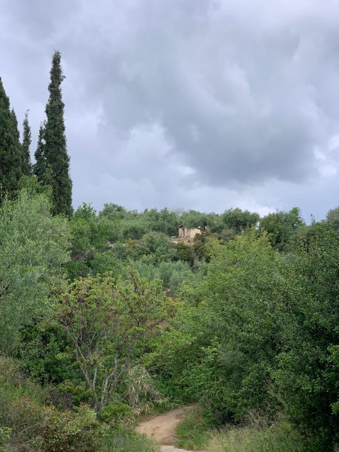 Delfini Appartement